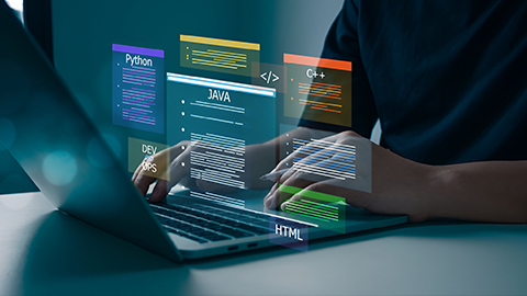 software development